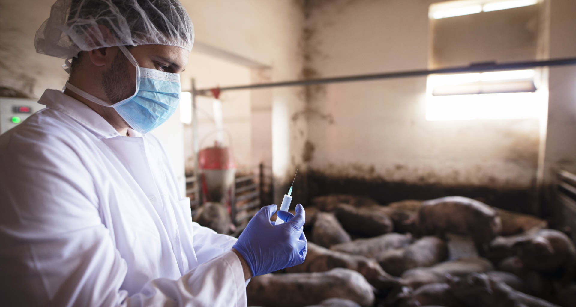 Algenex and Virbac sign commercial licence agreement for the development of a CrisBio®-based vaccine in a major swine indication.